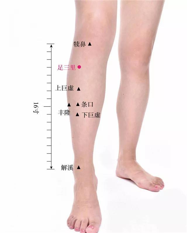 君丝佳养发馆加盟