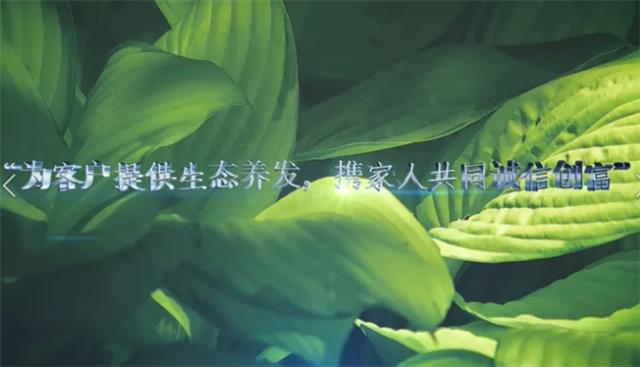 君丝佳养发馆加盟