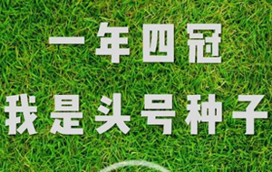 这个世界杯，“发”现不一样养发馆加盟的你！