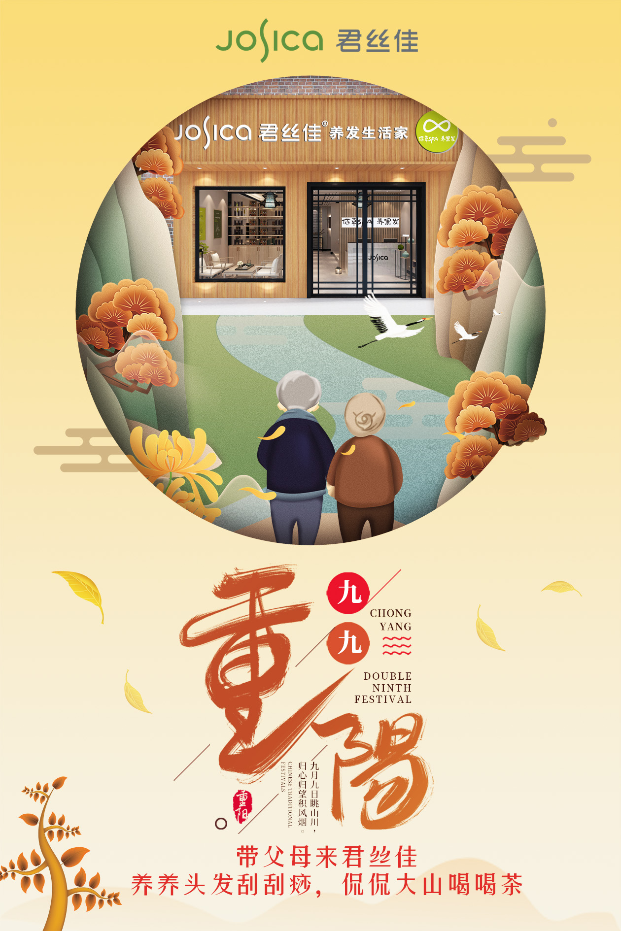 <a href='/Helps/ContactUs.html' class='keys' title='点击查看关于养发馆加盟的相关信息' target='_blank'>养发馆加盟</a>