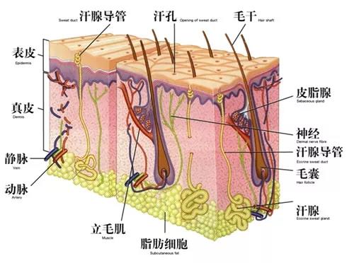 君丝佳养发馆加盟