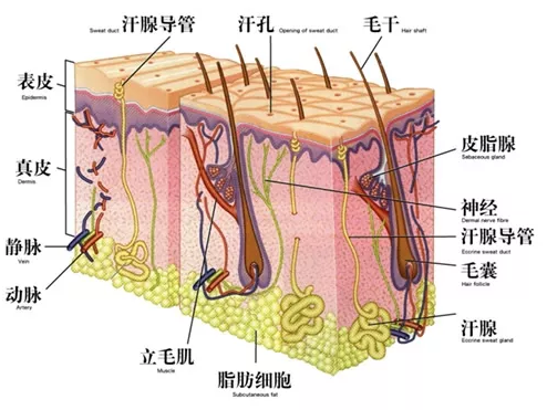 君丝佳生态养发馆加盟